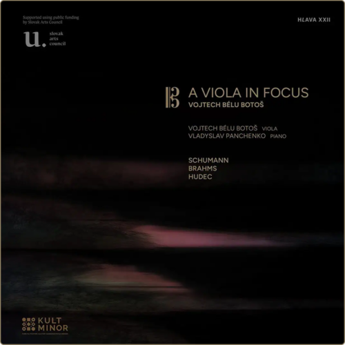 A Viola in Focus SK 1 Obal albumu A viola infocus
